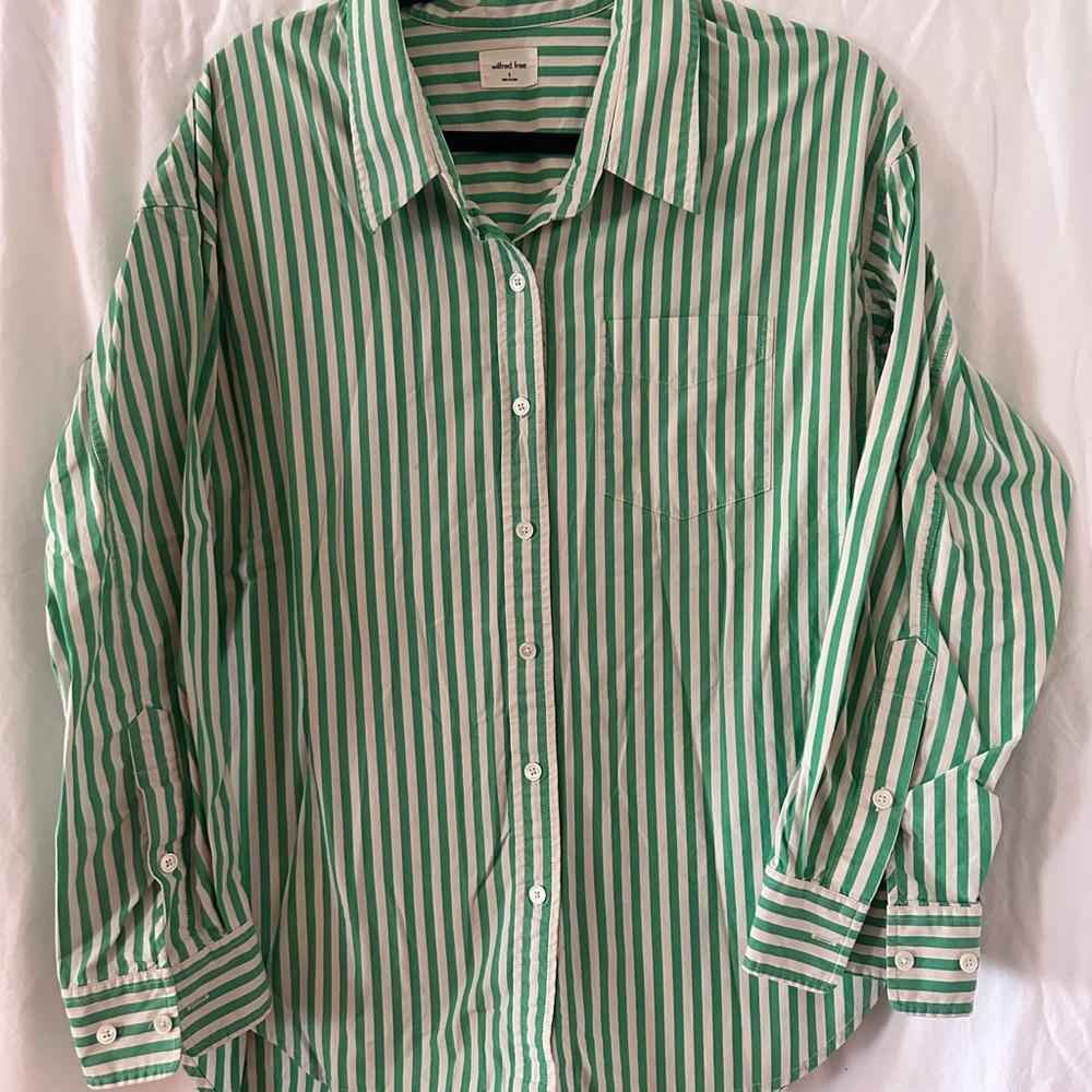 Aritzia Green and White Striped Button Down Shirt
